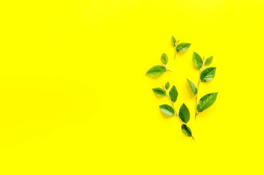 Ağaç yaprağı dallarının yerleşimi. Çiçek arkaplan üstü görünümü