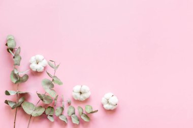 Okaliptüs dalları ve pamuk çiçekleriyle çiçek deseni