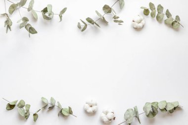 Okaliptüs yaprakları ve dallar düz yatıyordu.