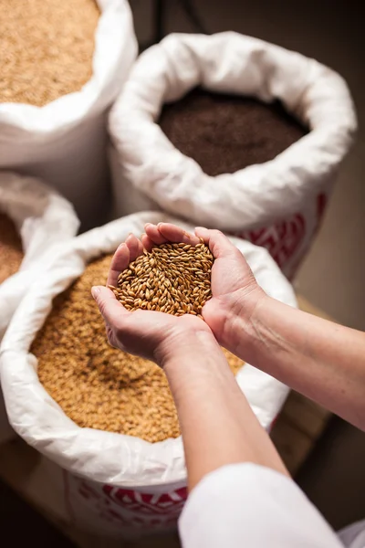 Büyük poşetlerde arpa Bira fabrikası