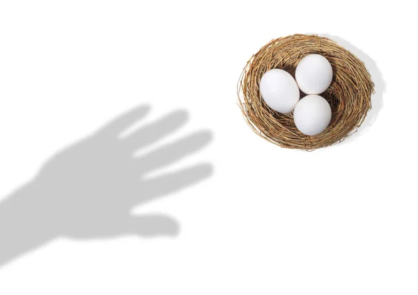 Sombra de mano alcanzando huevos en un nido Imagen de stock