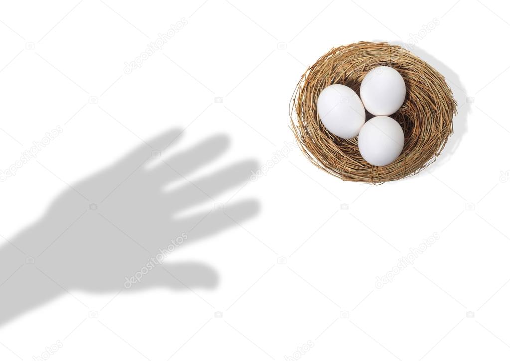 Shadow of Hand Reaching for Eggs in a Nest