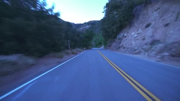 Mountain Forest Highway Sunrise Driving Plate Rear View California Usa — Stock Video