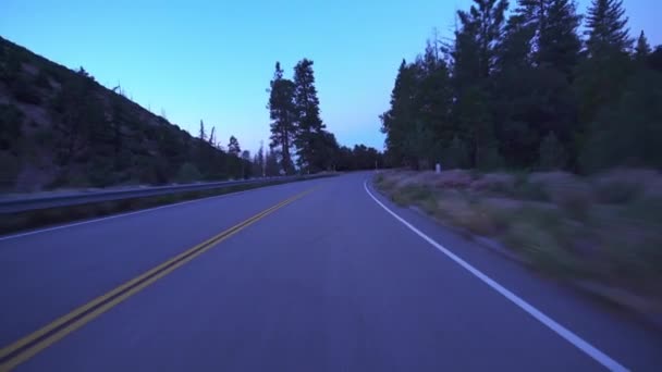 Alpine Mountain Forest Highway Sunrise Driving Plate Front View California Stock Footage