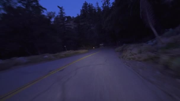 Alpine Forest Road Dawn Driving Plate Front View California Usa — Stock video