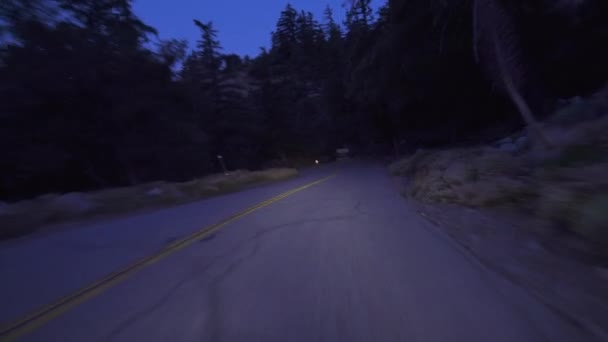 Alpine Forest Road Dawn Driving Plate Front View California Usa Stock Video