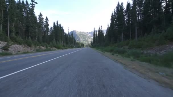 Modelo Condução North Cascade National Park Washington Eua — Vídeo de Stock