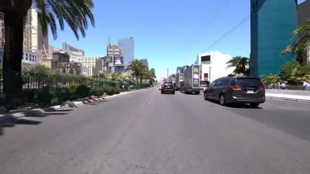 Las Vegas Strip Northbound Placas Conducción Nevada Usa Mgm — Vídeos de Stock