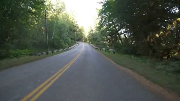 Olympic National Park Sürücü Şablonu Washington Abd — Stok video
