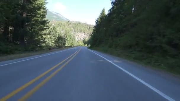 ノースカスケード国立公園運転テンプレートワシントンUsa — ストック動画