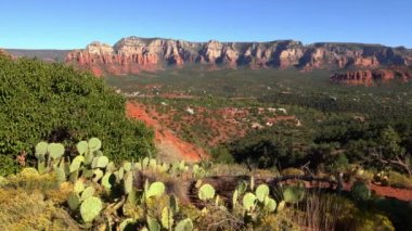 Arizona 'daki Sedona Vortex Havaalanı Mesa Kaktüsü.