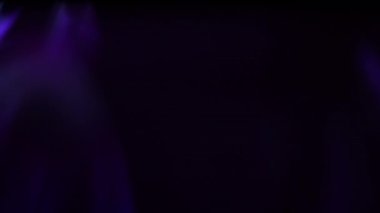Aurora Organik Canlandırma Döngüsü Mor