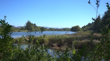 Lewis ve Clark Ulusal Park Fort Clatsop Netul Landing Columbia Nehri ABD Oregon