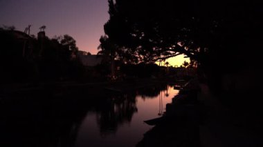 Los Angeles Venedik Kanalı Palm Trees Yansımaları: Dusk California USA