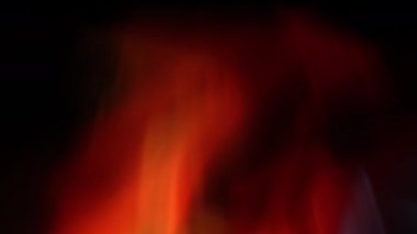 Aurora Organik Canlandırma Döngüsü Kırmızı 1