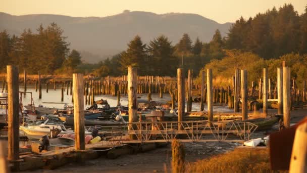 Oregon Sahil Günbatımı Limanda — Stok video