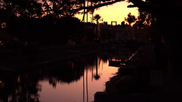 Λος Άντζελες Βενετία Canal Palm Trees Reflections Dusk Καλιφόρνια Ηπα — Αρχείο Βίντεο