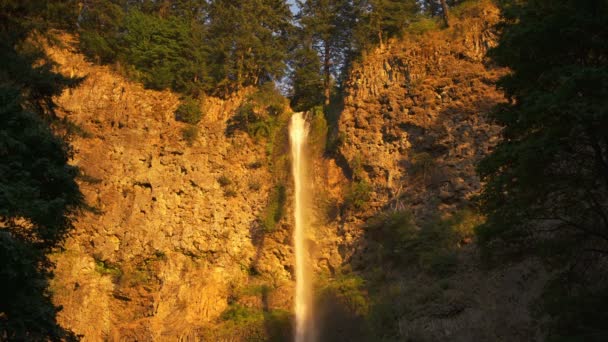 Multnomah Falls Nahaufnahme Wasserfälle Bei Sonnenuntergang Oregon — Stockvideo
