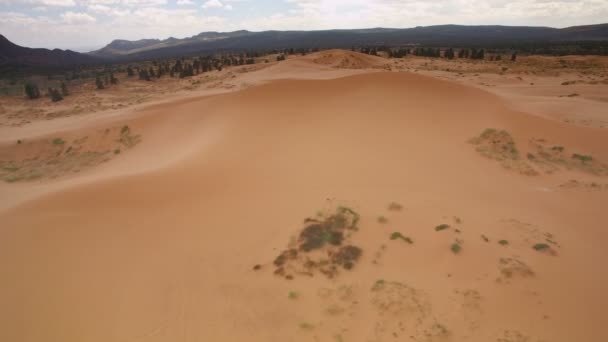 Coral Pink Sand Dunes Utah Desert Aerial Shot Gire Sudoeste — Vídeo de Stock