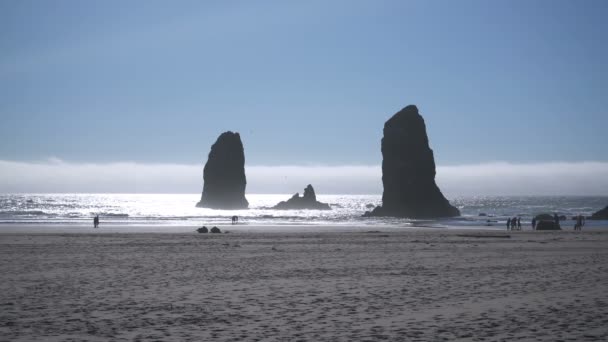 Haystack Rock Δύο Πανύψηλο Βράχο Σχηματισμός Oregon Coast Μέρα — Αρχείο Βίντεο