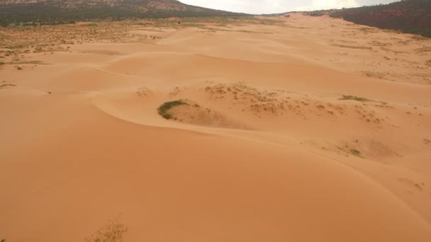 コーラルピンクサンド砂丘ユタ砂漠空中ショット米国南西部上空を飛ぶ — ストック動画
