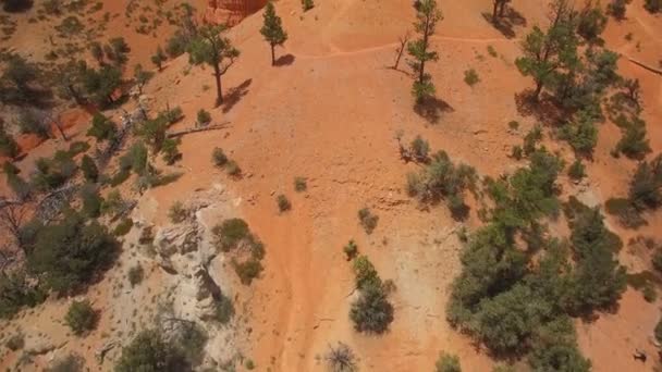 Hoodoos Rock Formation Aerial Shot Red Canyon Utah Forward Tilt — Vídeos de Stock