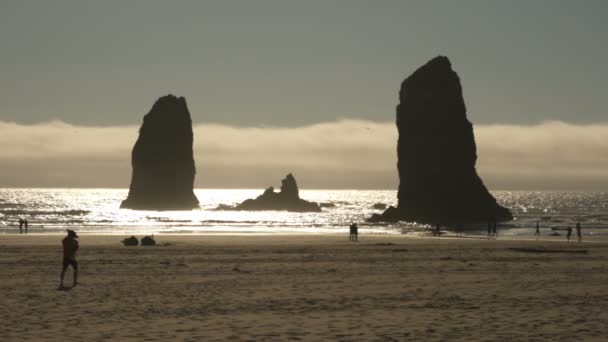 ヘイスタック ロック サンセットとロック層 オレゴン海岸 — ストック動画