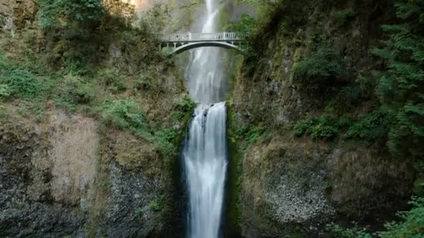 Multnomah Falls Time Lapse Waterfalls Oregon Usa Morning Tilt — Stock Video