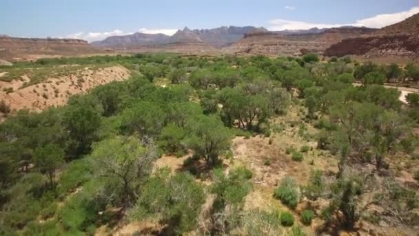 Utah Desert Canyon Virgin River Aerial Shot Zion National Park — Stock Video