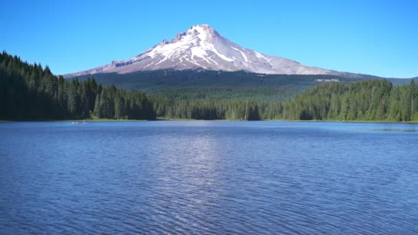 Mount Hood Peak Trillium Lake Oregonu — Stock video