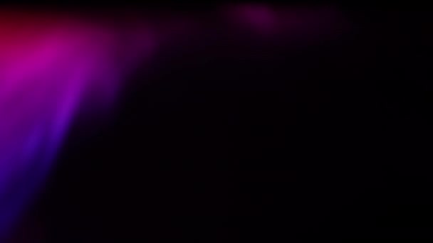 Aurora Organic Animation Loop Purple Pink — Stock Video