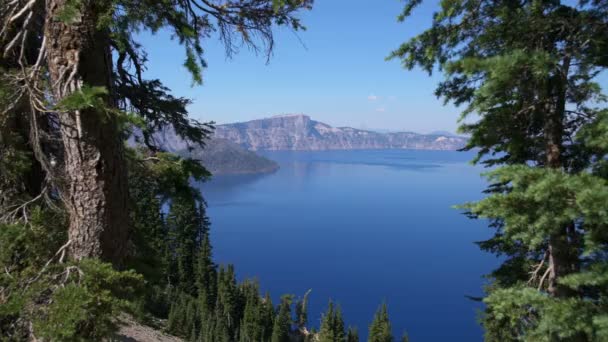Crater Lake Nationalpark Zauberinsel Zwischen Bäumen Oregon Usa — Stockvideo