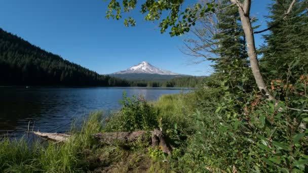 Trillium Gölü Kıyısındaki Hood Dağı Ndan Oregon Zaman Hızı — Stok video