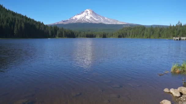 Mount Hood Trillium Lake Reflexiók Oregon — Stock videók