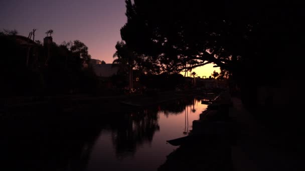 Los Angeles Venice Canal Palm Trees Reflections Dusk California Usa — Stock video