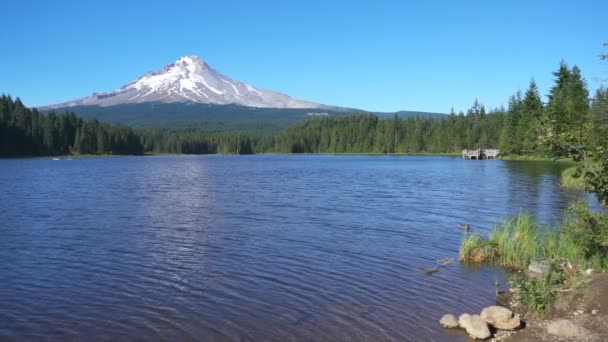Mount Hood Orilla Del Lago Trillium Oregon — Vídeos de Stock