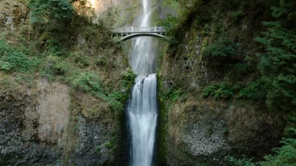 Multnomah Falls Time Lapse Waterfalls Oregon Usa Morning Light — 비디오