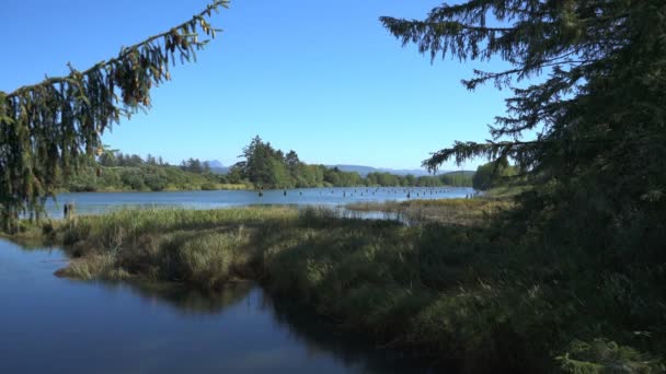 Lewis Clark Nemzeti Történelmi Park Fort Clatsop Shore Netul Landing — Stock videók