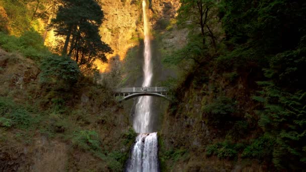 Multnomah Falls Und Bridge Waterfalls Oregon Sonnenuntergang — Stockvideo