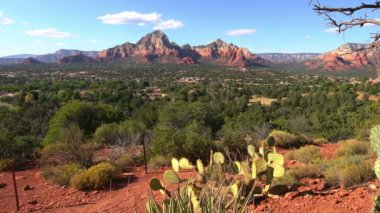 Sedona Vortex Havalimanı Mesa ve Thunder Dağı Arizona ABD Pan Sol Kaktüsü