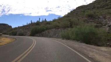 Sonoran Çöl Dağı Şablonu Saguaro Kaktüsü Arizona ABD 04