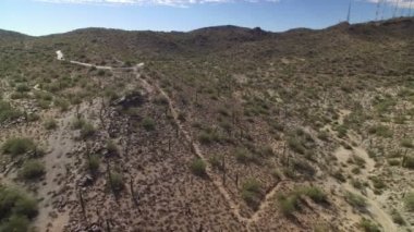 Phoenix Dağları Arizona 'da Saguaro Kaktüsü' nü vurdu.