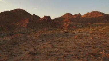Joshua Tree Çöl Manzarası Mojave Çölünün Günbatımı Kaliforniya Ters Yükseklik Açığa Çıkarması