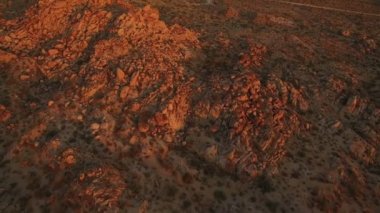 Joshua Tree Çöl Manzarası Mojave Çölü 'nün Günbatımı Kaliforniya İlerisi Dağları
