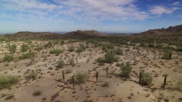 Saguaro Cactus Sonoran Desert Aerial Shot Arizona Usa Voorwaarts — Stockvideo