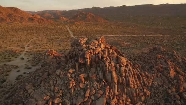 Joshua Tree Desert View Sunset Aerial Shot Van Mojave Desert — Stockvideo
