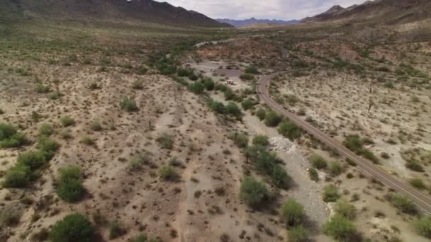 Saguaro Cactus Sonoran Desert Aerial Shot Arizona Yhdysvallat Highway Picnic — kuvapankkivideo