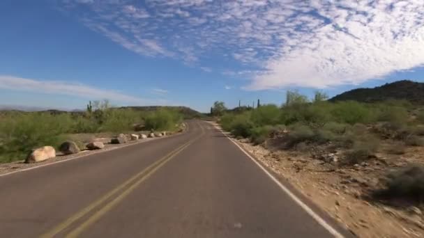 Sonoran Desert Mountain Driving Template Saguaro Cactus Arizona Usa — 图库视频影像