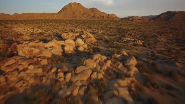Joshua Tree Desert View Tramonto Aereo Girato Del Deserto Del — Video Stock