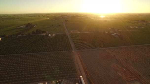 California Wine Country Sunset Aerial Shot Vineyards Forward Descend — Stock Video